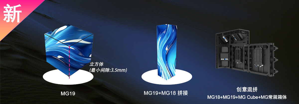 新成員：MG19